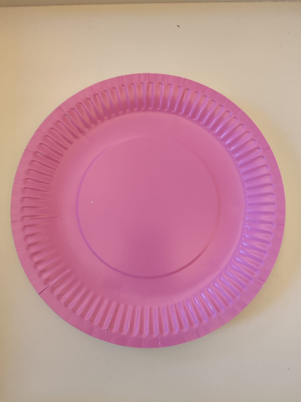 Paper Plates